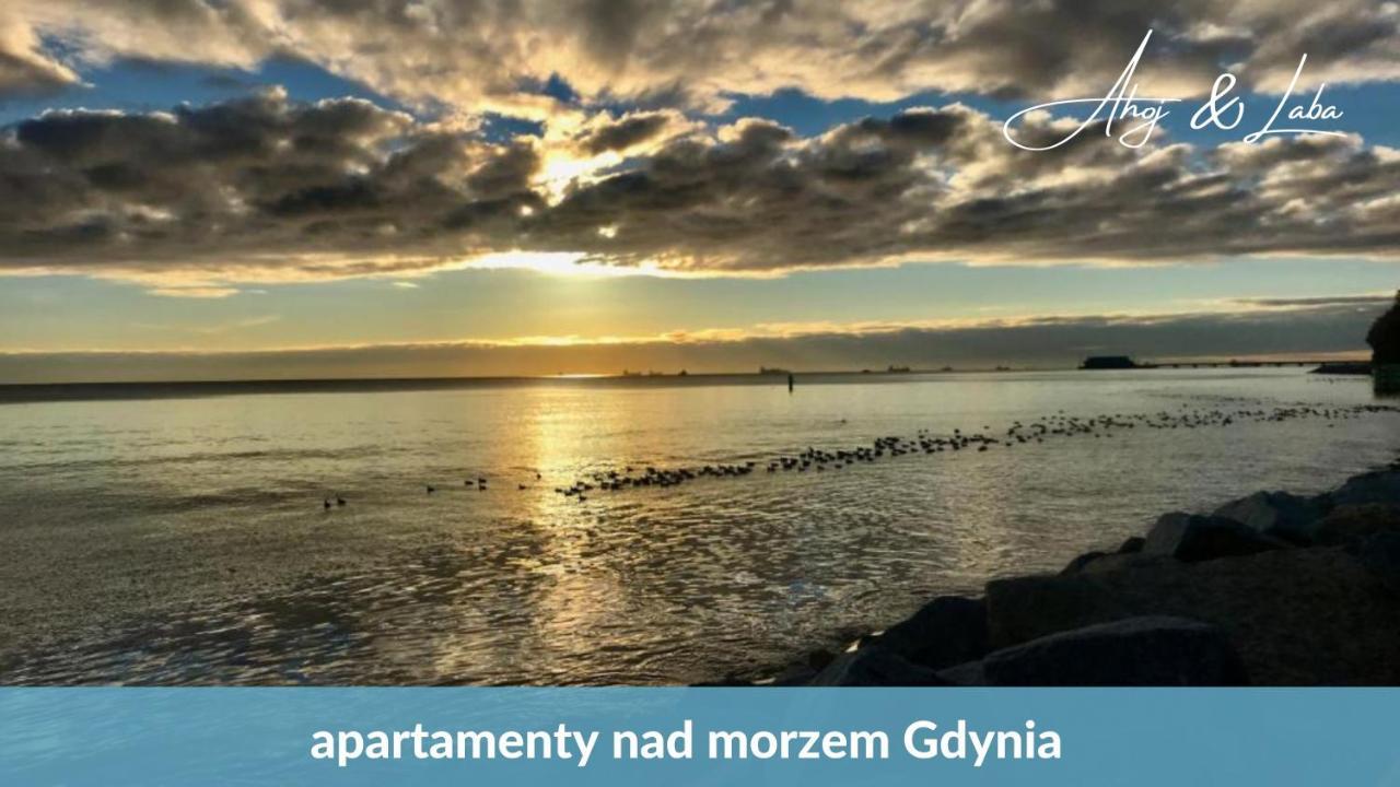 Laba - Basen, Blisko Plazy, Cisza, Taras, Parking, Bezplatne Wifi, Wyjatkowy! Lejlighed Gdynia Eksteriør billede