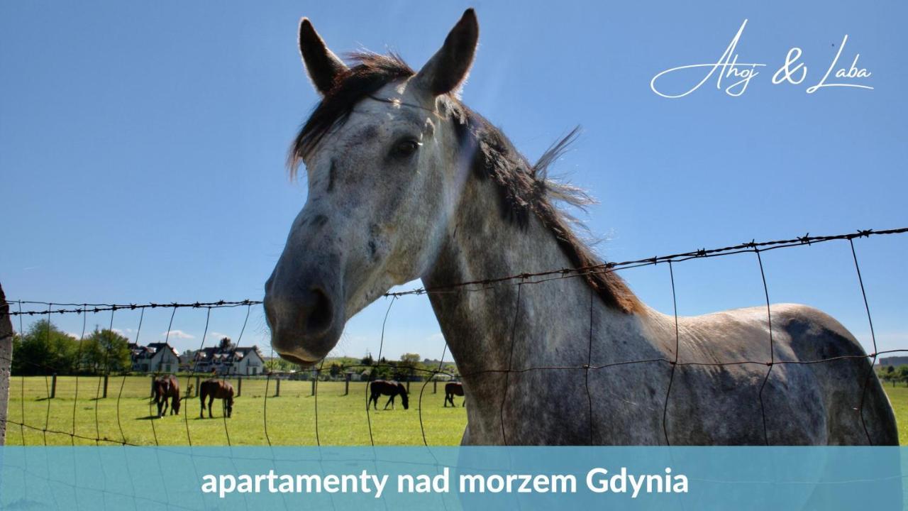 Laba - Basen, Blisko Plazy, Cisza, Taras, Parking, Bezplatne Wifi, Wyjatkowy! Lejlighed Gdynia Eksteriør billede