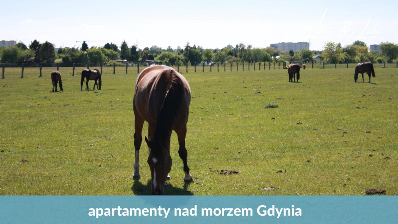 Laba - Basen, Blisko Plazy, Cisza, Taras, Parking, Bezplatne Wifi, Wyjatkowy! Lejlighed Gdynia Eksteriør billede